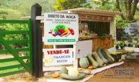 Barraca sem vendedor atrai a atenção dos clientes em Delfim Moreira (MG) (Foto: Reprodução EPTV/Erlei Peixoto)
