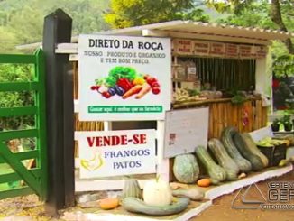 Barraca sem vendedor atrai a atenção dos clientes em Delfim Moreira (MG) (Foto: Reprodução EPTV/Erlei Peixoto)