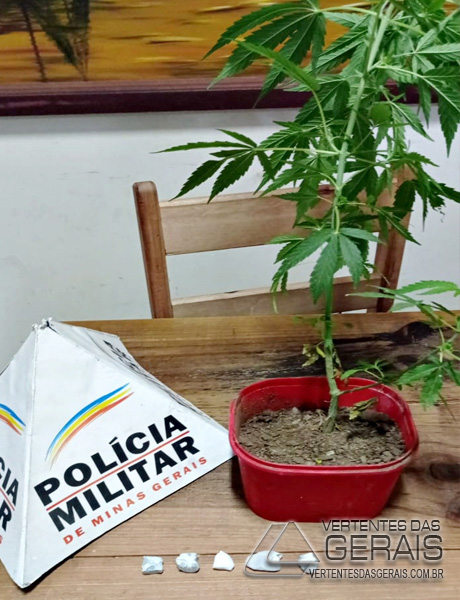 apreensão-em-pinheiro-grosso
