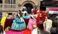 desfile-das-rosas-foto-Bruno-Laviola-Comunicação-PMB-01