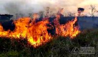 incendio-em-vegetação-na-linha-do-oeste-em-barbacena-01
