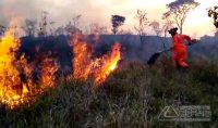 incendio-em-vegetação-na-linha-do-oeste-em-barbacena-02