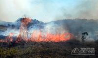 incêndio-em-vegetação-em-barbacena-03