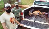 lobo-guará-resgatado-com-ferimentos-na-zona-rural-de-são-joão-del-rei-03