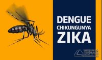 mosquito-da-dengue-zica-chikungunya
