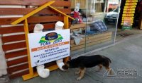 Estrutura de restaurante para cães foi criada por pet shop em Pouso Alegre (MG). (Foto: Reprodução/Redes Sociais)